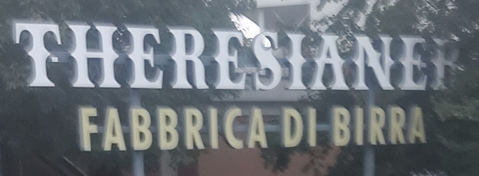 Logo Therasianer